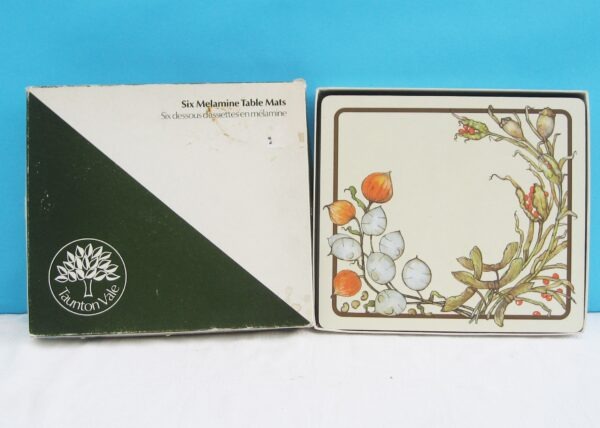 Vintage Taunton Vale Melamine Placemats x6 Boxed Summer Flowers 70s 80s