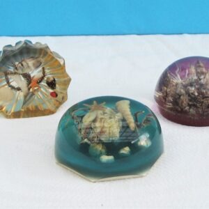 Vintage Lucite Paperweight Ornaments Marine Nature Themed - Choose from 3