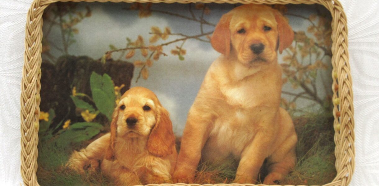 Vintage Wicker Edge Tray Labrador Puppies Rectangular Large 1970s Image