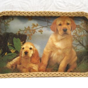 Vintage Wicker Edge Tray Labrador Puppies Rectangular Large 1970s Image