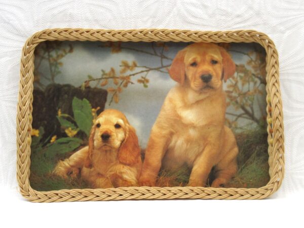 Vintage Wicker Edge Tray Labrador Puppies Rectangular Large 1970s Image