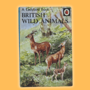 Vintage Ladybird Books