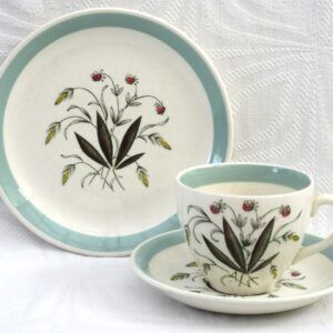 Vintage Alfred Meakin Hedgerow Trio Cup Saucer Plate 60s Image