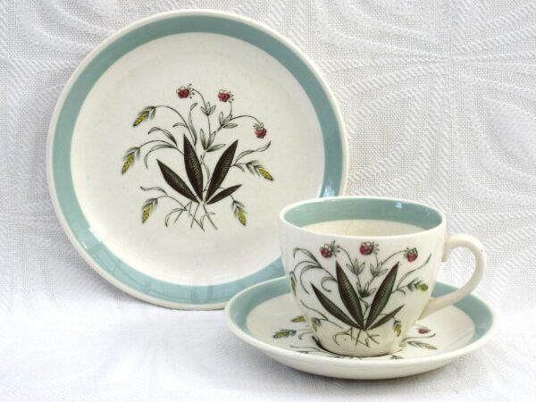 Vintage Alfred Meakin Hedgerow Trio Cup Saucer Plate 60s Image