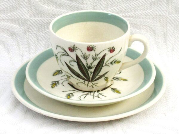 Vintage Alfred Meakin Hedgerow Trio Cup Saucer Plate 60s - Image 2