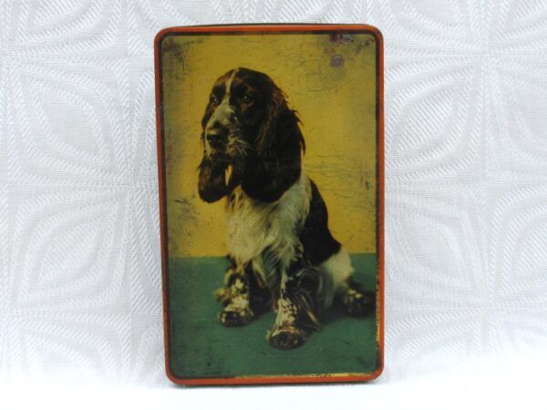 Vintage Edward Sharp Toffee Tin Spaniel Dog Rectangular 1960s Image