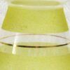 Vintage Frosted Glass Hyacinth Vase 1950s - Choose Colour - Image 5