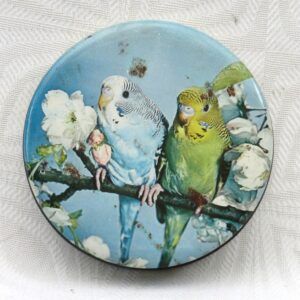 Vintage Budgerigars Budgie Tin Edward Sharp Sons 60s 70s